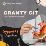 Granty GIT